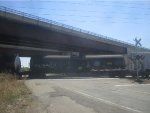 CTCX 726164